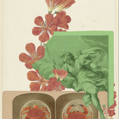 Zodiac print - cancer