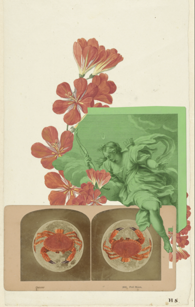 Zodiac Print - Cancer