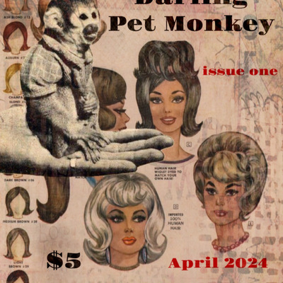Darling pet monkey - Thumbnail 1