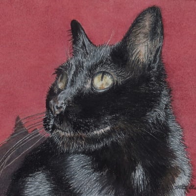 "morning cat", original realism drawing by n.e.thompson, artwork size 8x10 inches