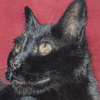 "Morning Cat", Original Realism Drawing By N.E.Thompson, Artwork Size 8x10 Inches - Thumbnail 1