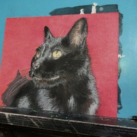 "Morning Cat", Original Realism Drawing By N.E.Thompson, Artwork Size 8x10 Inches - Thumbnail 3