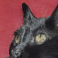 "Morning Cat", Original Realism Drawing By N.E.Thompson, Artwork Size 8x10 Inches - Thumbnail 2