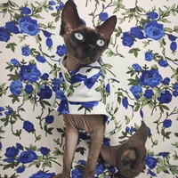 Blue Rose Garden - Thumbnail 4