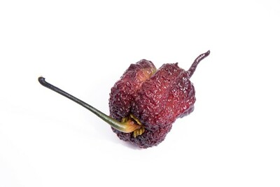 Purple Gator Jigsaw Ultra Hot Pepper Premium Seed Packet