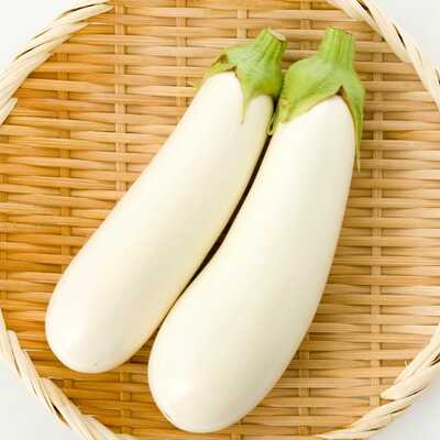 White knight eggplant premium seed packet