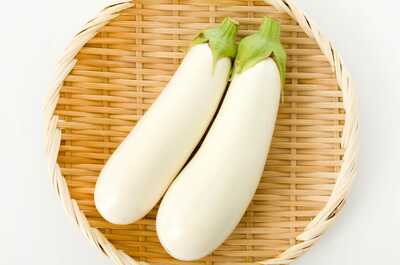 White Knight Eggplant Premium Seed Packet