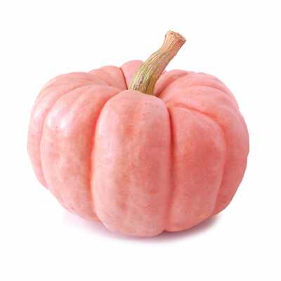 Porcelain doll pink winter squash pumpkin premium seed packet