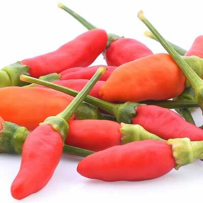 African bird's eye piri-piri peri peri chile heirloom pepper premium seed packet