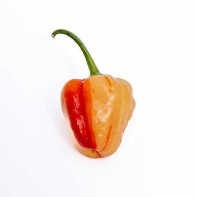 Peppapeach stripey malawi piquante pepperdew heirloom pepper premium seed packet