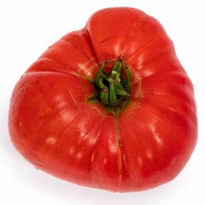 Italian tree tomato heirloom premium seed packet