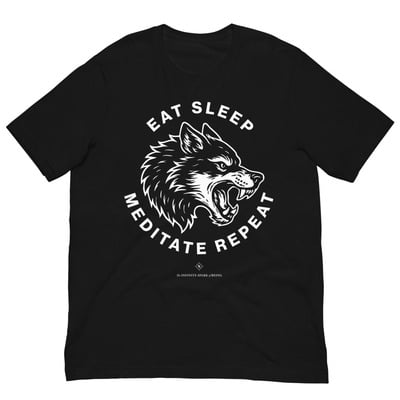 Eat sleep meditate repeat mens graphic t-shirt  mindful lifestyle tee
