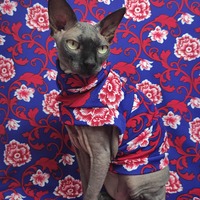 Fine & Dandy - Thumbnail 3