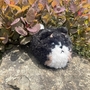 Black/White Fluffy Amigarumi Pomeranian-3