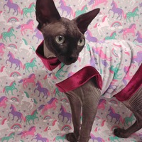 Unicorn Frenzy - Thumbnail 1