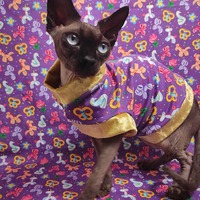 Looner - Thumbnail 2