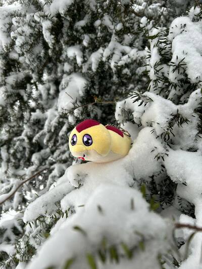 Tsuchinoko keychain plush