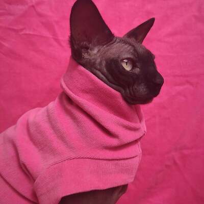 Pinky - stretch corduroy  - Thumbnail 1