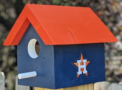 Astros Bird House