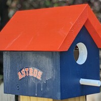Astros Bird House - Thumbnail 1