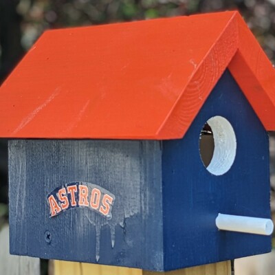 Astros bird house