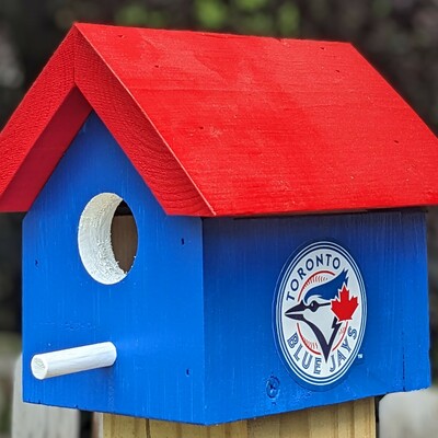 Blue jays bird house