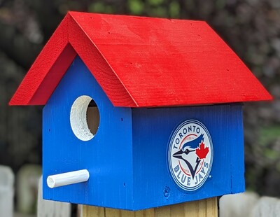 Blue Jays Bird House