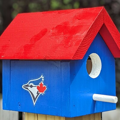 Blue jays bird house