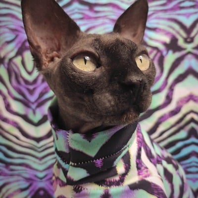 Animal print psychedelica - swimwear