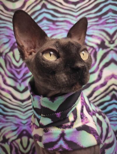 Animal Print Psychedelica - Swimwear