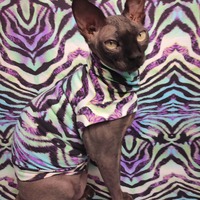 Animal Print Psychedelica - Swimwear - Thumbnail 1