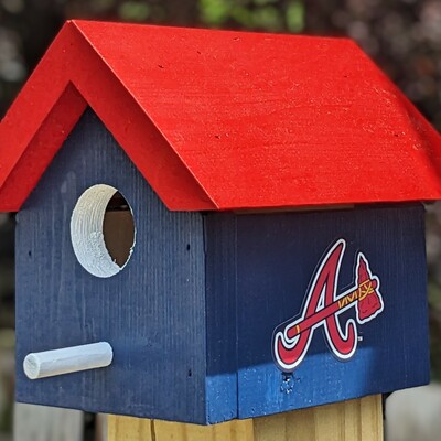 Braves bird house
