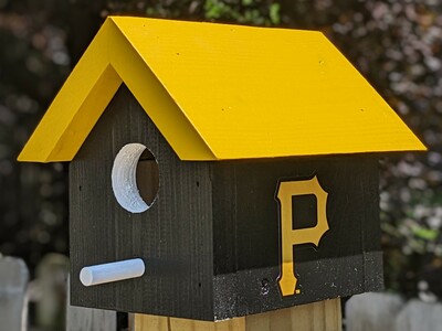 Pirates Bird House
