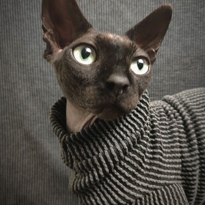 Raised lines (charcoal) 