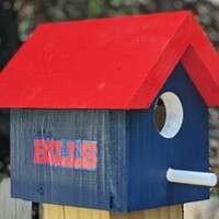 Bills Bird House - Thumbnail 1