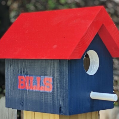 Bills bird house