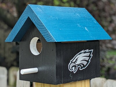 Eagles Bird House