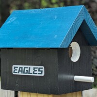 Eagles Bird House - Thumbnail 1