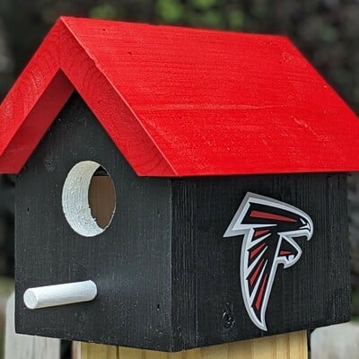 Falcons bird house