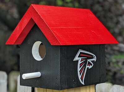 Falcons Bird House