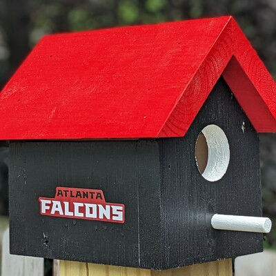 Falcons bird house