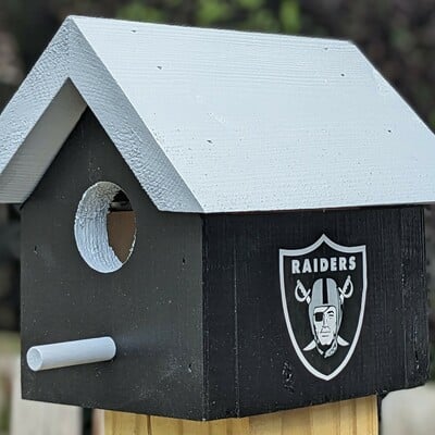 Raiders bird house - Thumbnail 4
