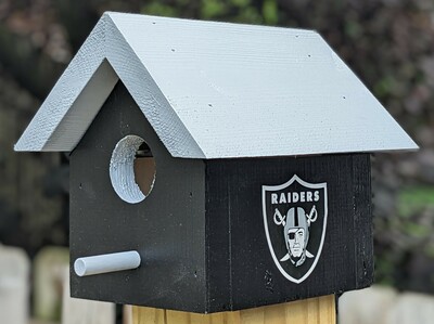 Raiders Bird House