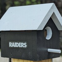 Raiders Bird House - Thumbnail 1