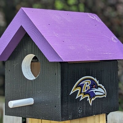 Ravens bird house