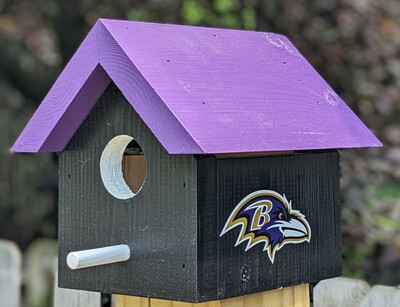Ravens Bird House