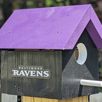Ravens Bird House - Thumbnail 1