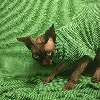 Raised Lines (Grass)  - Thumbnail 1