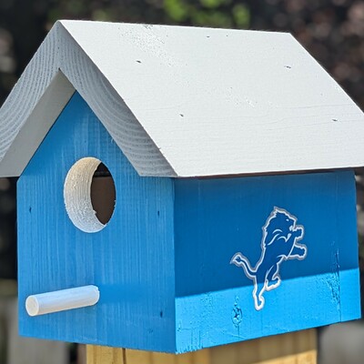 Lions bird house