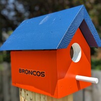 Broncos Bird House - Thumbnail 1